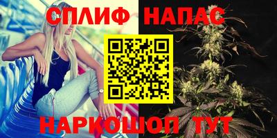 альфа пвп Краснодар