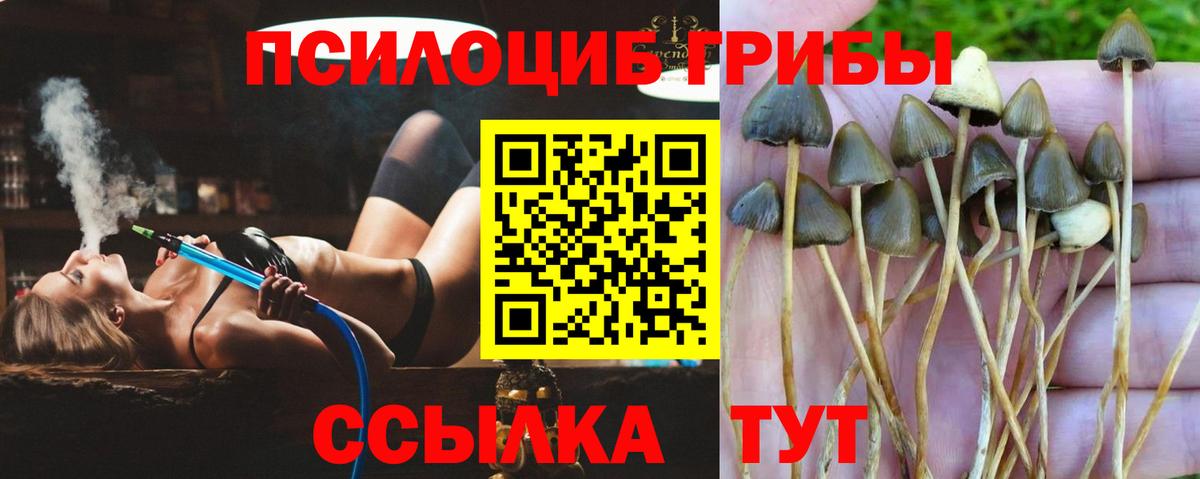 Кохма  где найти наркотики  Вход с VPN  Псилоцибиновые грибы ЛСД 